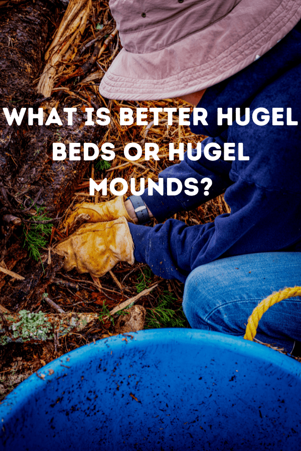 What Is better Hugel Beds or Hugel Mounds?