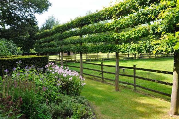 fence-garden-design_8940 Espalier Trees