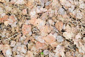 mulch