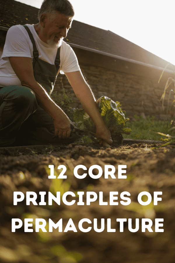12 Core principles of permaculture