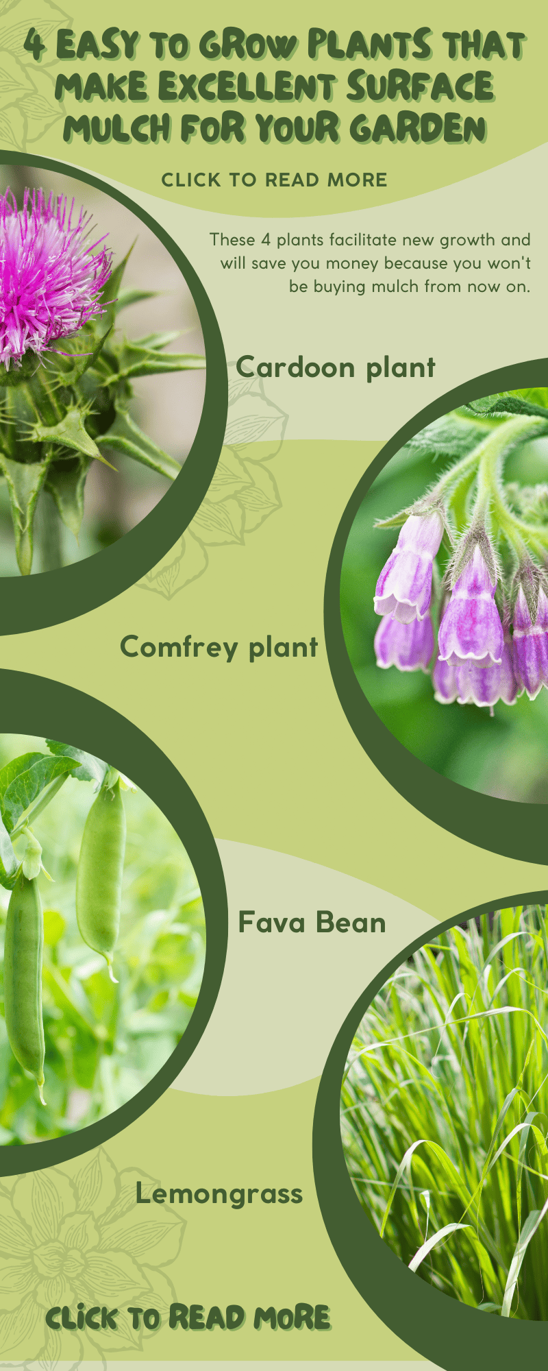 4 Easy To Grow Plants That Make Excellent Surface Mulch For Your Garden