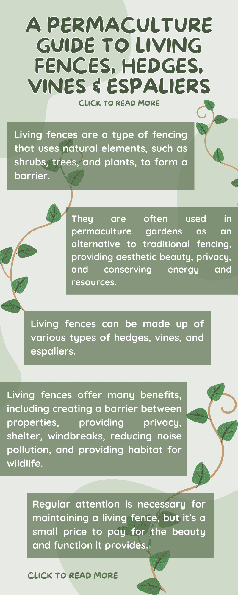 A Permaculture Guide To Living Fences, Hedges, Vines & Espaliers