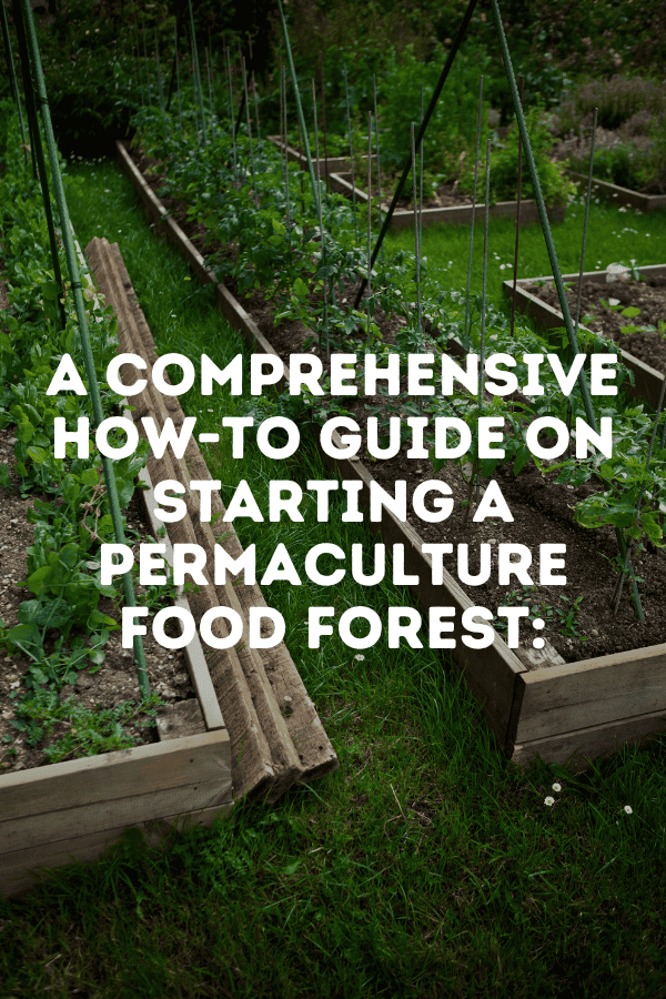 A comprehensive how-to guide on starting a permaculture food forest: