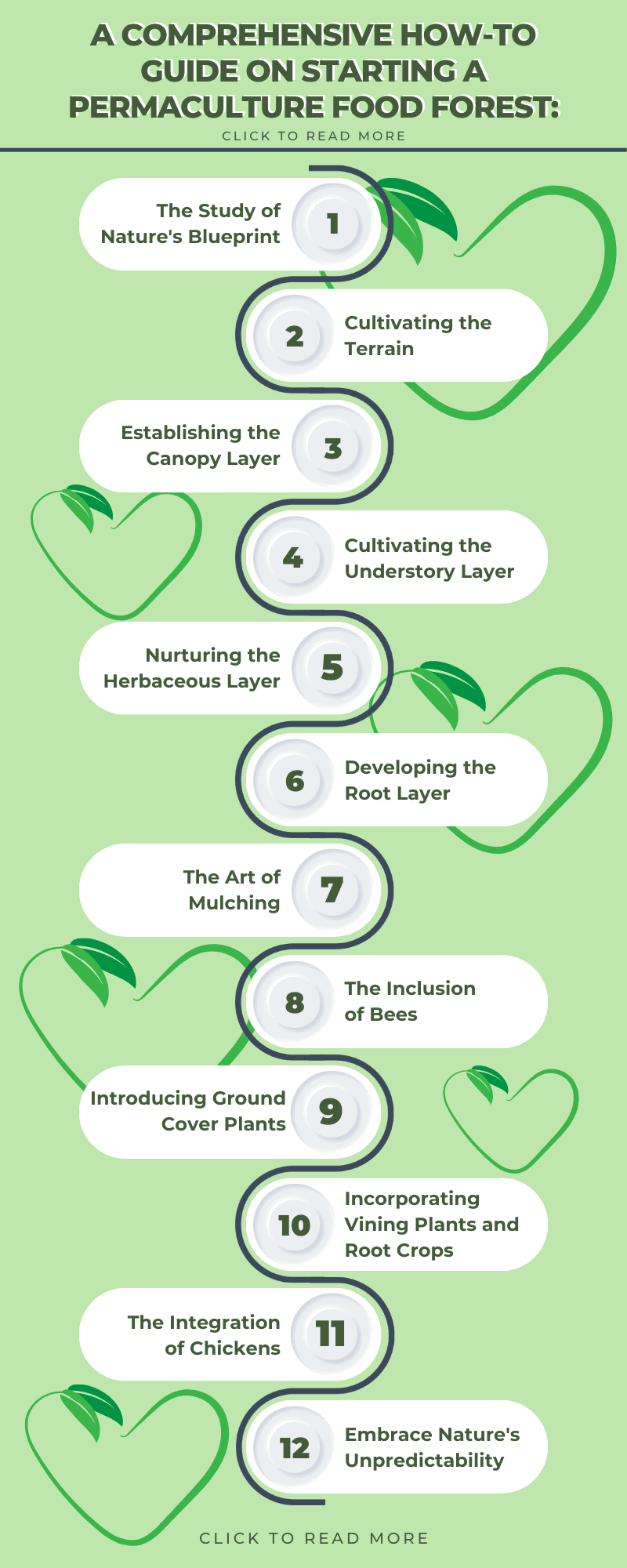 A comprehensive how-to guide on starting a permaculture food forest: