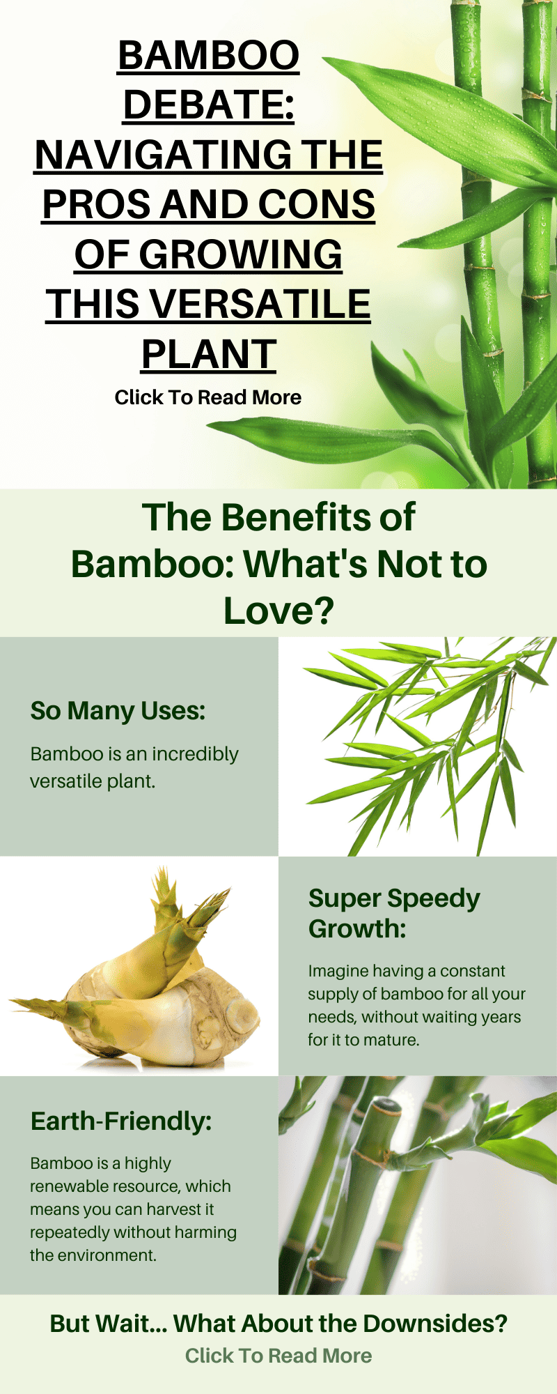 Bamboo Debate: Navigating the Pros and Cons of Growing This Versatile Plant