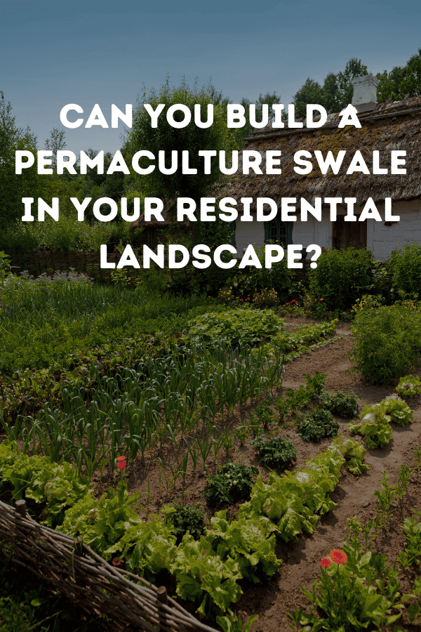 Can you build a permaculture swale in your residential landscape?