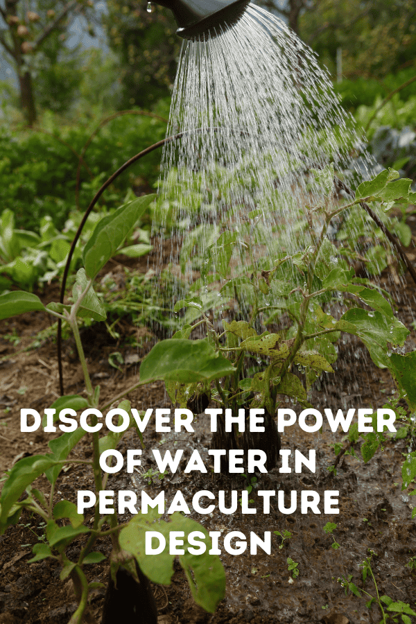 Discover the Power of Water in Permaculture Design