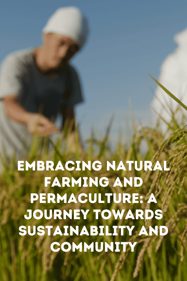 Embracing Natural Farming and Permaculture A Journey Towards Sustainability and Community