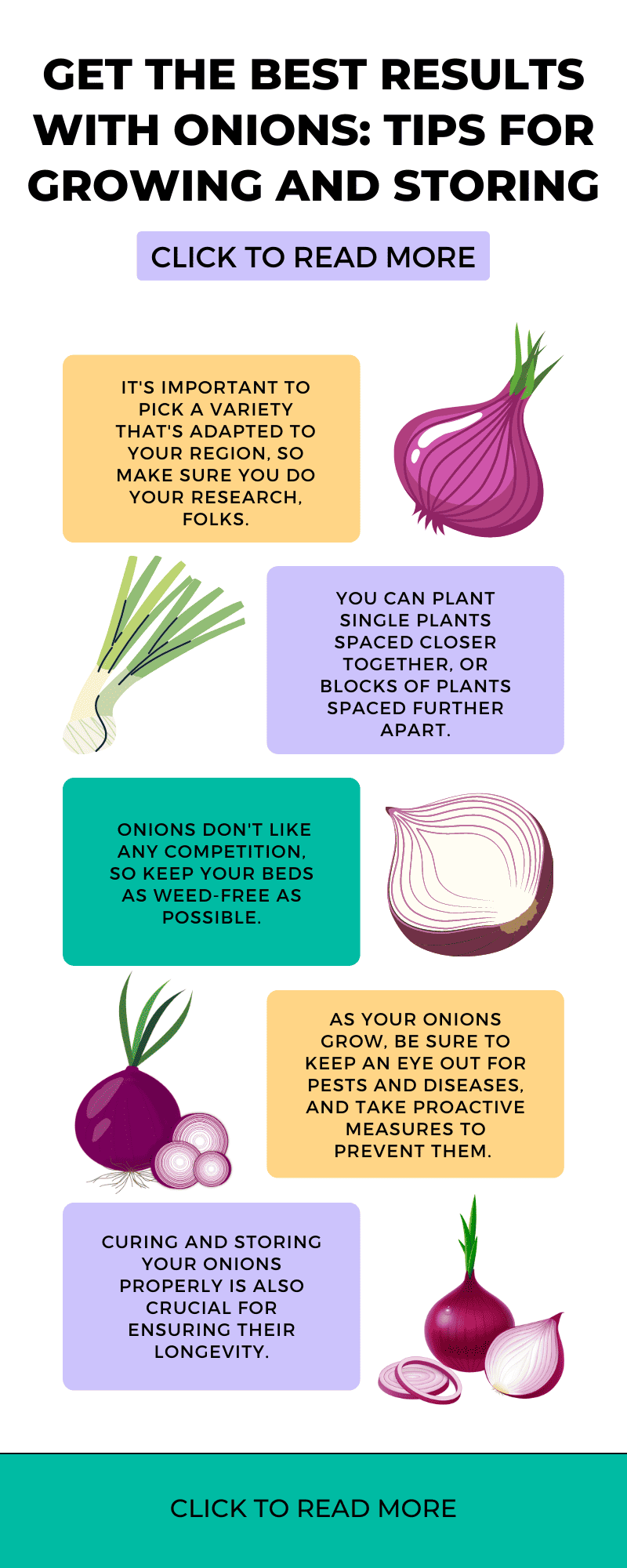 Get the Best Results with Onions: Tips for Growing and Storing