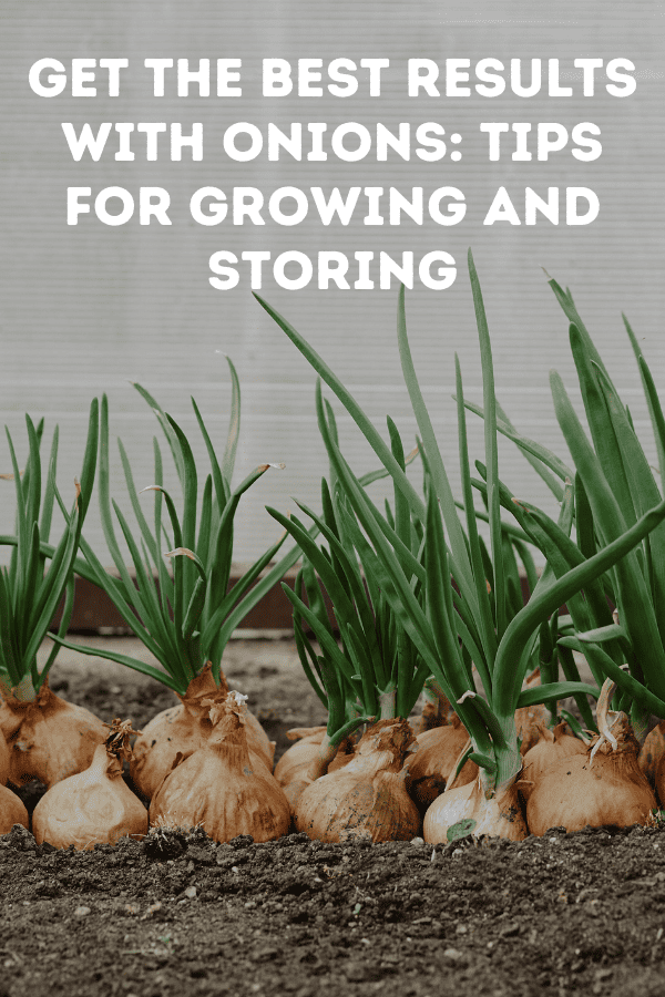 Get the Best Results with Onions: Tips for Growing and Storing