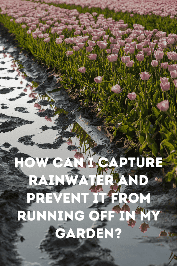 How can I capture rainwater and prevent it from running off in my garden?