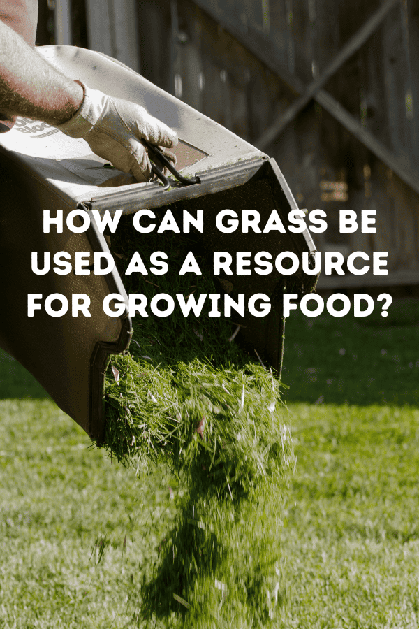How can grass be used as a resource for growing food?