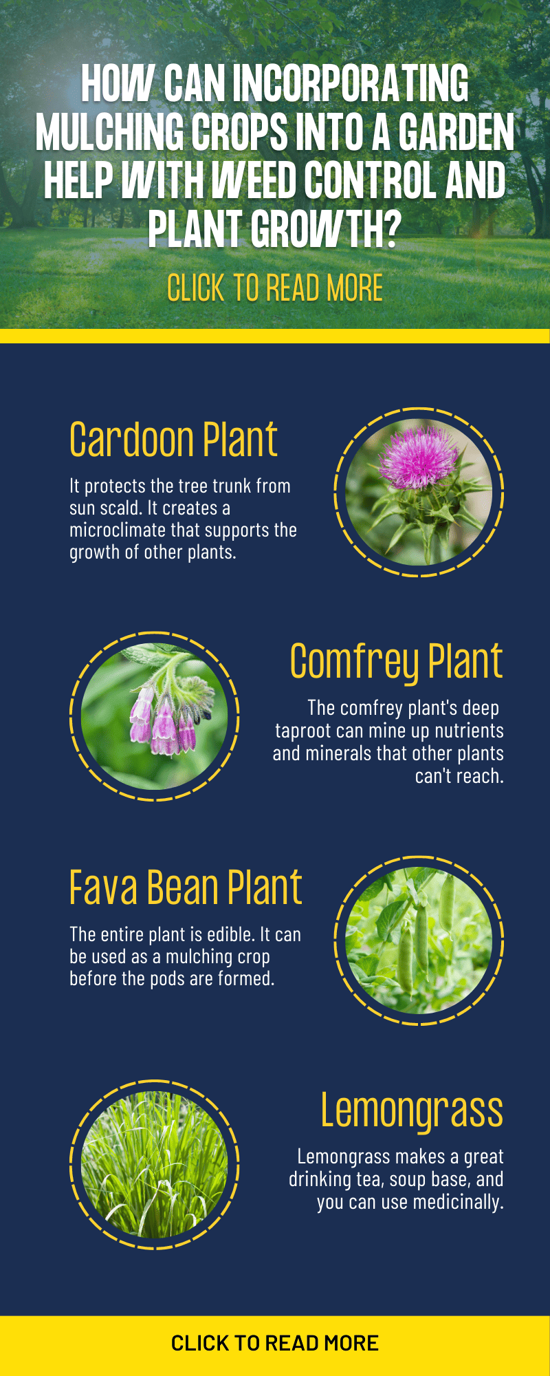 How can incorporating mulching crops into a garden help with weed control and plant growth?