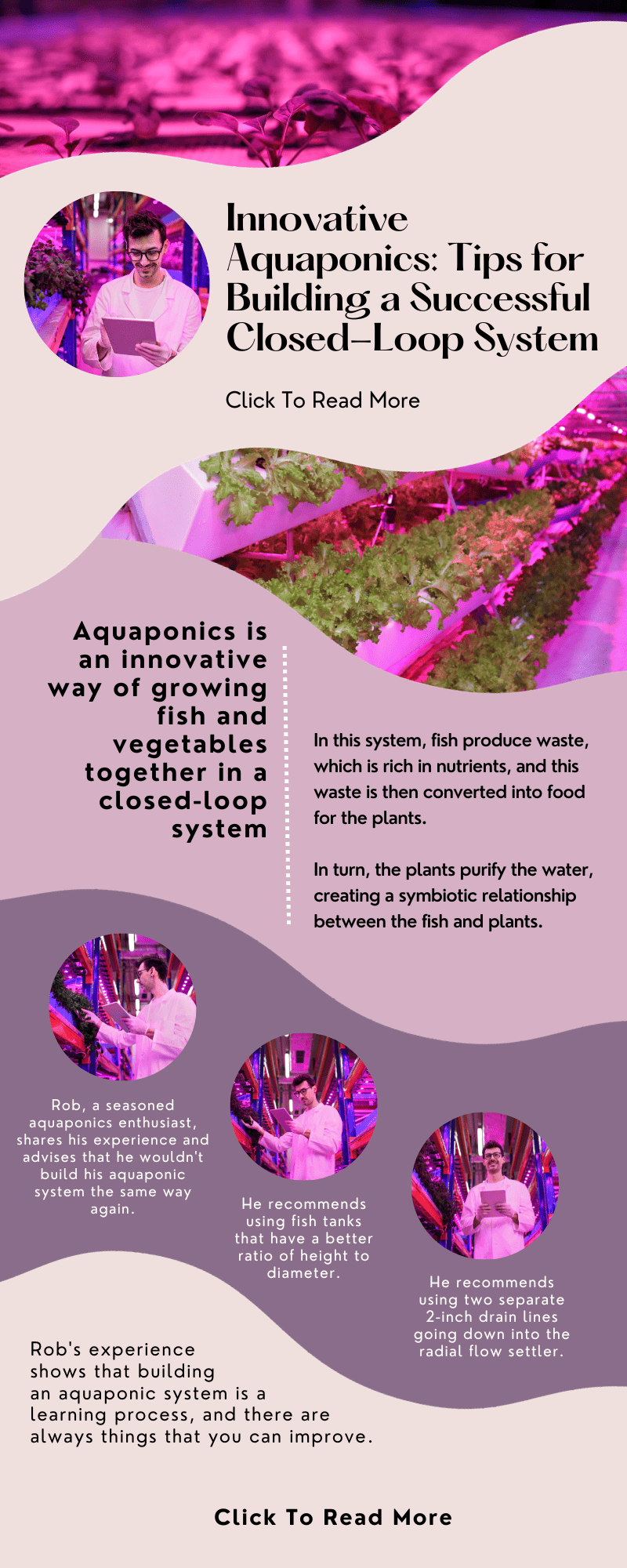 Innovative Aquaponics: Tips for Building a Successful Closed-Loop System