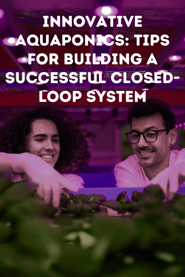 Innovative Aquaponics: Tips for Building a Successful Closed-Loop System